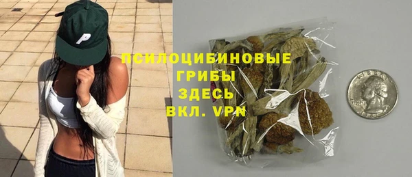 прущая мука Инта