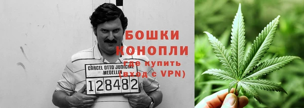 прущая мука Инта