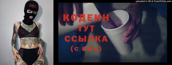 прущая мука Инта