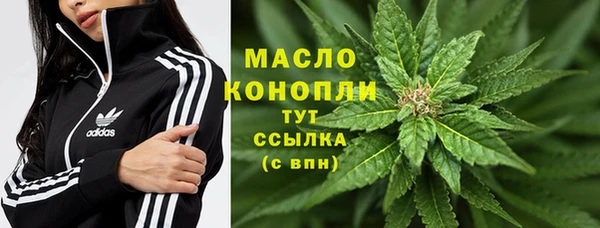 прущая мука Инта